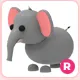 R Elephant