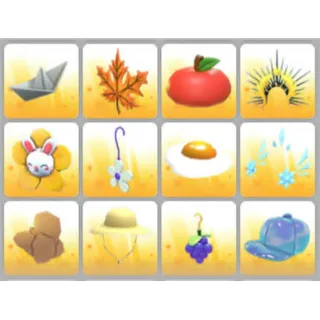 BUNDLE PET WEAR X12