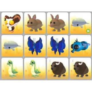 BUNDLE PET X12