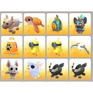 BUNDLE PET X12