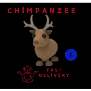 REINDEER F