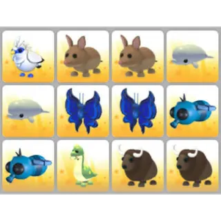 BUNDLE PET X12