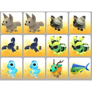 BUNDLE PET X12