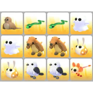BUNDLE PET X12
