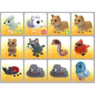 BUNDLE PET X12