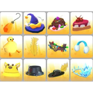 BUNDLE PET WEAR X12