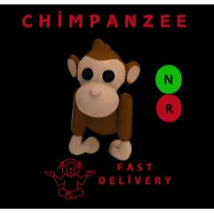 MONKEY NR