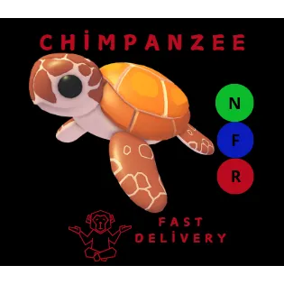 SEA TURTLE NFR