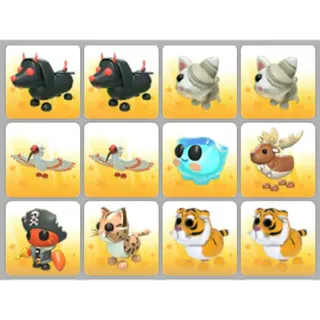 BUNDLE PET X12