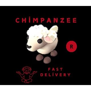 LAMB R