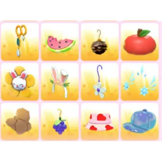 BUNDLE PET WEAR X12