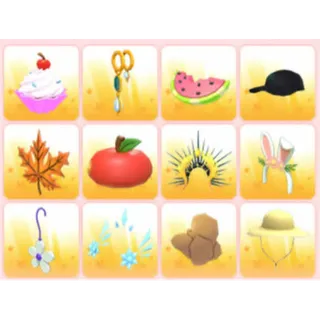 BUNDLE PET WEAR X12