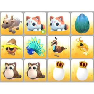 BUNDLE PET X12