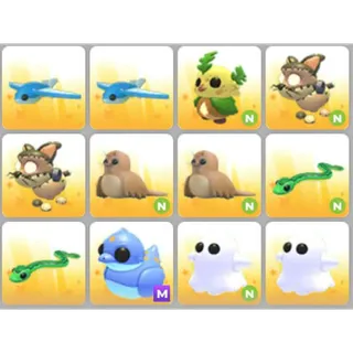 BUNDLE PET X12