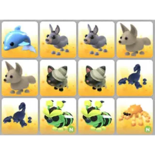 BUNDLE PET X12