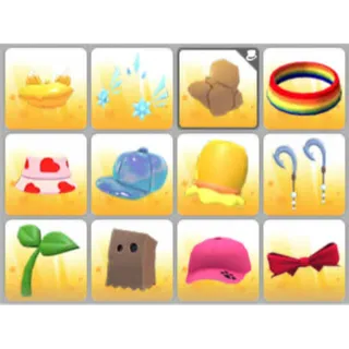 BUNDLE PET WEAR X12