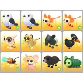 BUNDLE PET X12