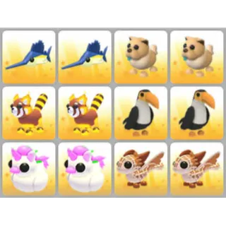 BUNDLE PET X12