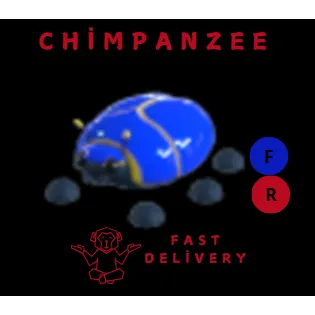 Giant Blue Scarab FR