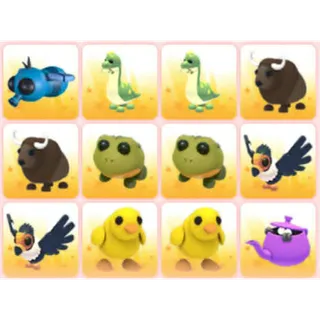 BUNDLE PET X12
