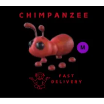 รายการภาพถ่าย