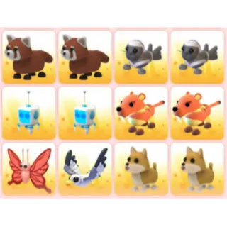 BUNDLE PET X12