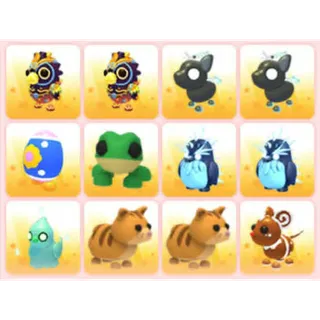 BUNDLE PET X12