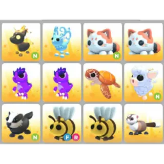 BUNDLE PET X12