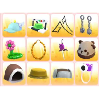BUNDLE PET WEAR X12