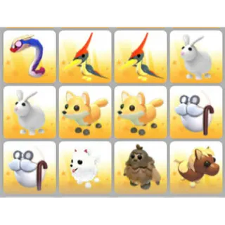 BUNDLE PET X12