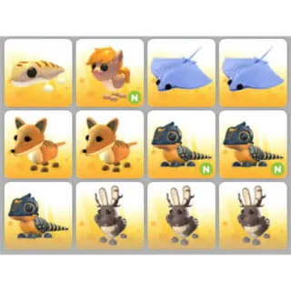 BUNDLE PET X12