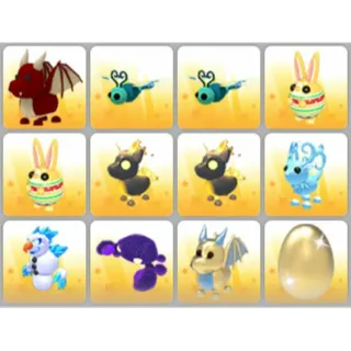BUNDLE PET X12