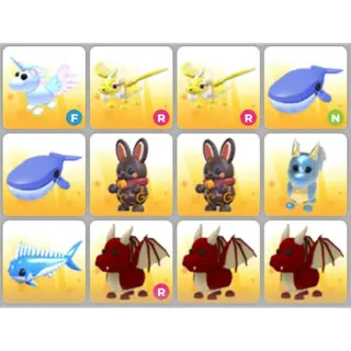 BUNDLE PET X12
