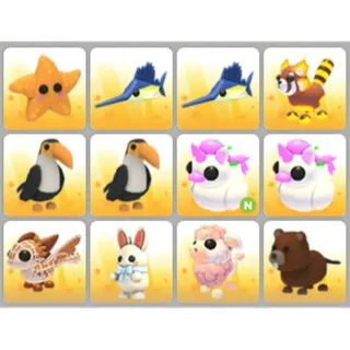 BUNDLE PET X12