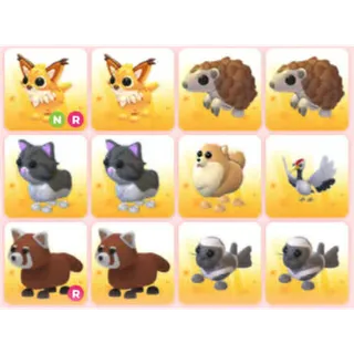 BUNDLE PET X12