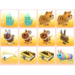 BUNDLE PET X12