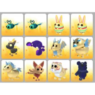 BUNDLE PET X12