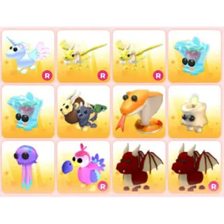 BUNDLE PET X12
