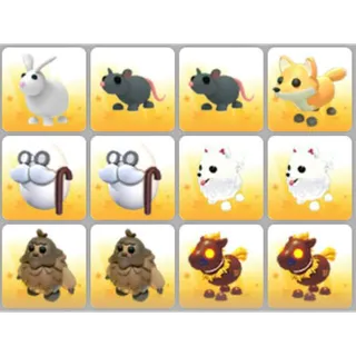 BUNDLE PET X12