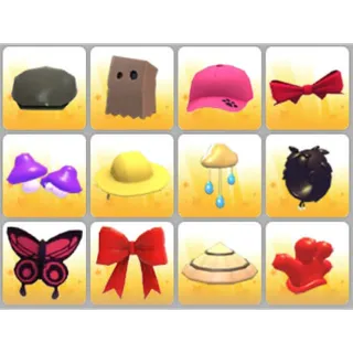 BUNDLE PET WEAR X12