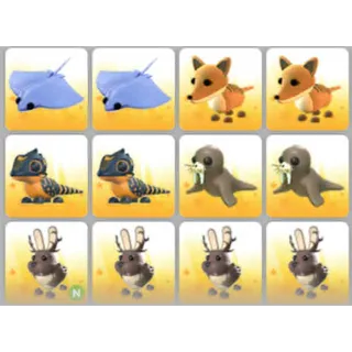 BUNDLE PET X12