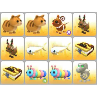 BUNDLE PET X12