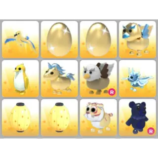 BUNDLE PET X12