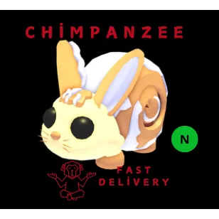 Bunny Swirl NEON