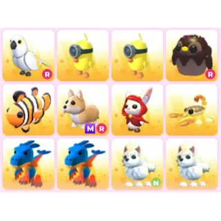 BUNDLE PET X12