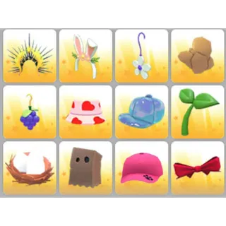 BUNDLE PET WEAR X12