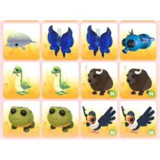 BUNDLE PET X12