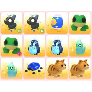 BUNDLE PET X12