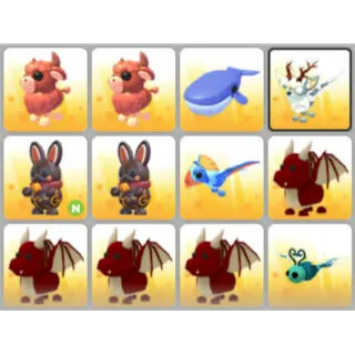 BUNDLE PET X12