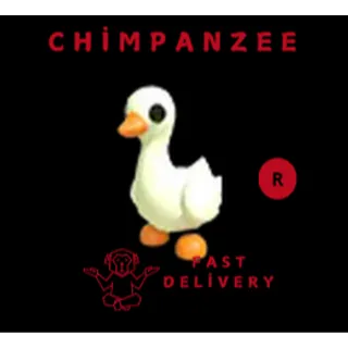 Goose R